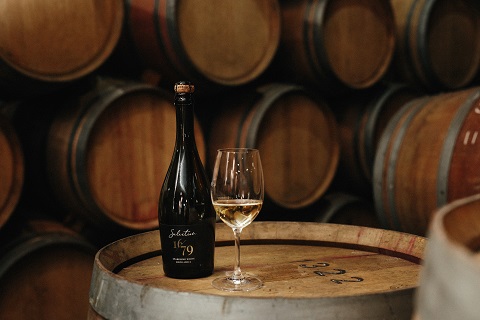 Capreo Vrede & Lust Winefarm Karina Conradie Photography pac shots wine branding